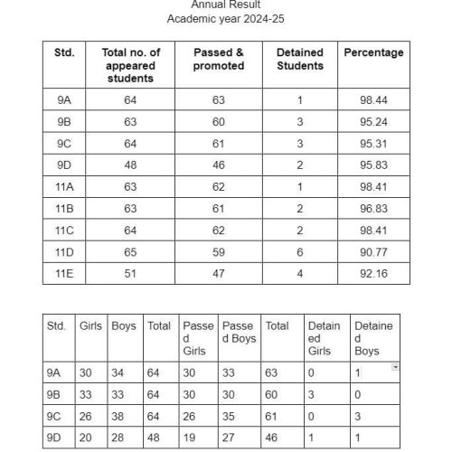 annual result